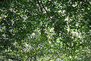 《黄金树幽影》获最佳DLC 宫崎感谢玩家确认正开发多个项目