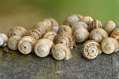 PS5第三方独占新IP将在2022年全面开发